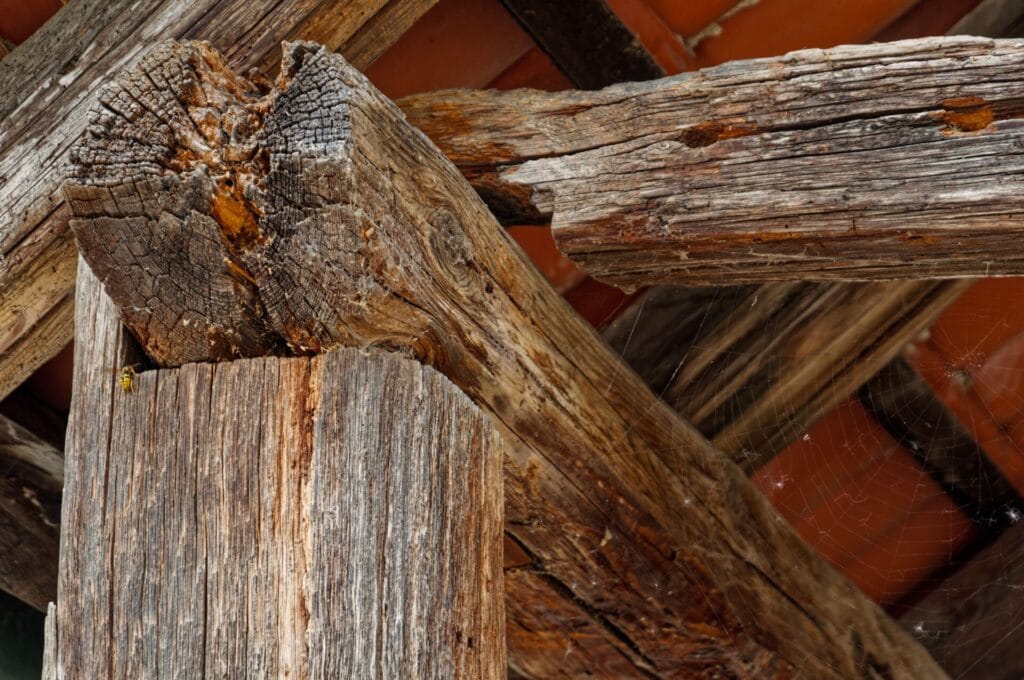 Closeup detail of an old wooden construction covered in spiderweb