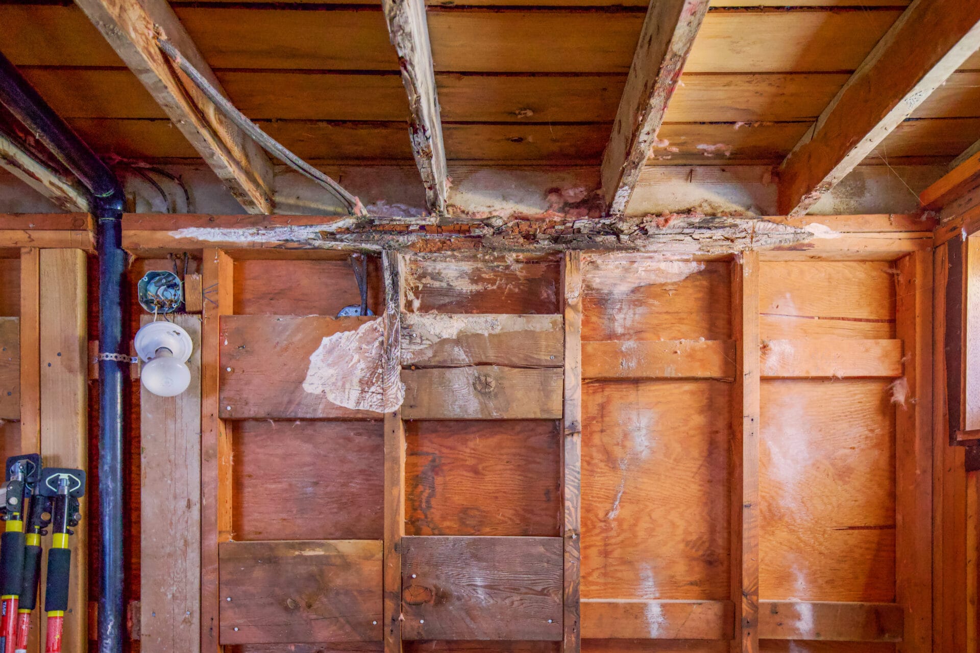 dry-rot-bathroom-wall